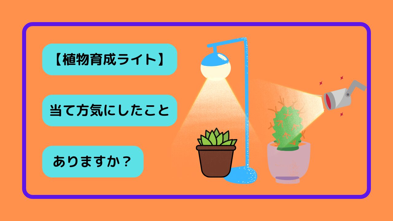 植物育成ライト】正しい当て方とは？ - 植物は枯らさない